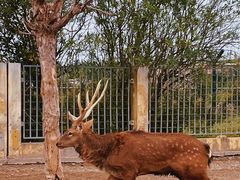 -上海华凯华美达广场酒店