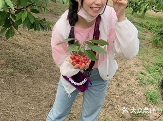 又到了实现樱桃自由的季节啦