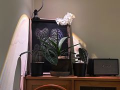 -本無咖啡·BeanWood Coffee