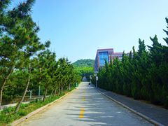 -山东大学(威海校区)