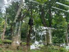 -都江堰中华大熊猫苑