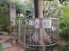 -广州神农草堂中医药博物馆