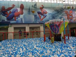 -爱丽丝奇幻乐园