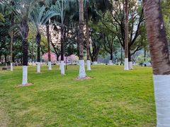 -南宁市凤岭儿童公园