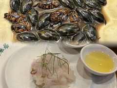 -美未居·老字号·地道顺德菜·桑拿鸡·鱼生(容桂店)