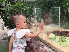 -呀路古热带植物园
