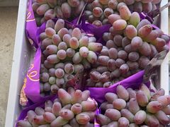 -马陆小张葡萄园农家乐