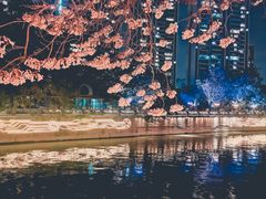 -红星桥(地铁站)