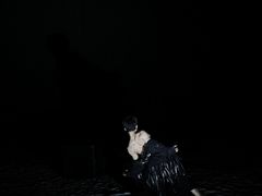-北京喜剧院