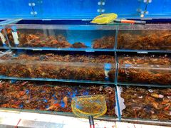 -三旗百汇商品城