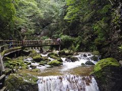 -牛背梁国家森林公园