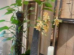 -Dragonfly悠庭·按摩Spa(新乐路店)