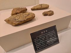 -遵义市博物馆
