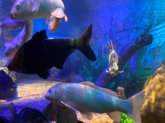 -沈阳海洋探索中心