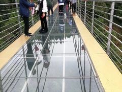 -磐安舞龙峡景区