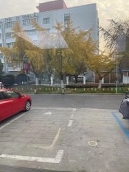 -蒋伟时尚造型