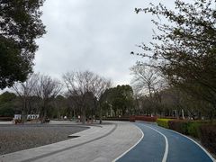 -南翔镇银翔湖公园