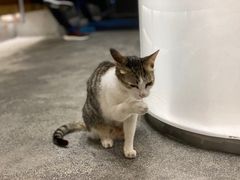 -MQ COFFEE STAND明谦(新洲店)