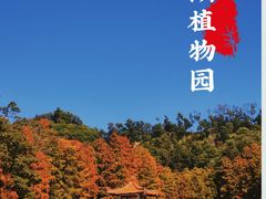 -深圳市中科院仙湖植物园