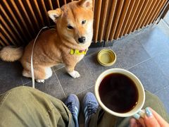 -RUMORS COFFEE ROASTERY鲁马滋咖啡(湖南路店)