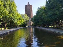 -玲珑塔公园