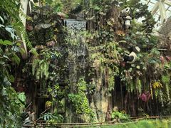 -正佳雨林生态植物园