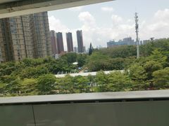 -百年果林椰子鸡(中洲店)