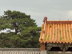 -北陵公园