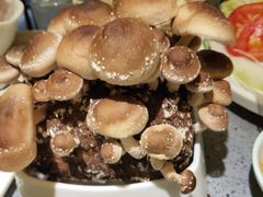 有机松香菇-鲜货俚鲜火锅(青果路店)