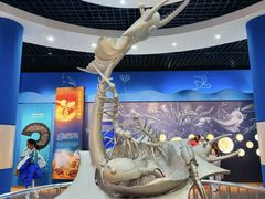 -国家自然博物馆