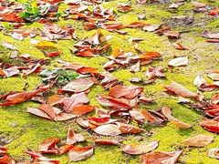 -苏州河梦清园环保主题公园