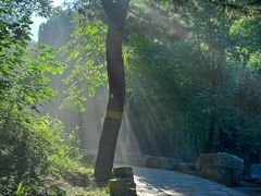 -北京西山国家森林公园