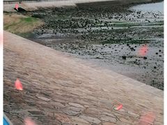 -八大关景区