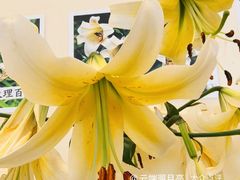 -中国农业博物馆