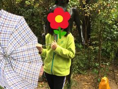 -北京周口店北京人遗址博物馆