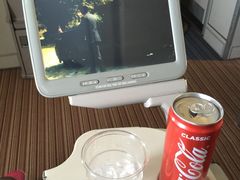 -新加坡航空公司(ION)