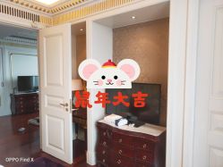 -大美母婴月子中心