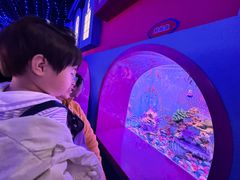 -秦皇岛新澳海底世界