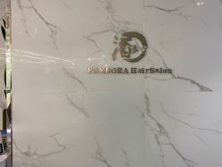 -潘多拉Hairsalon