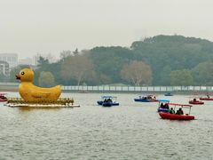 -上海长风大悦城