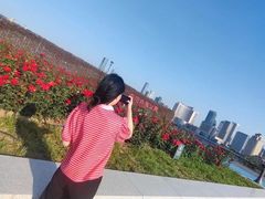 -海河外滩公园