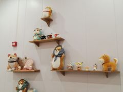 -柴犬小屋·柴餐厅·狗咖食堂(金鼎广场店)