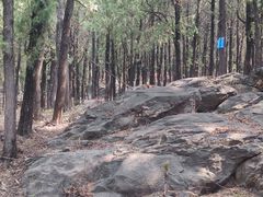 -泰山风景名胜区-普照寺