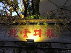 -龙井壹号·茶缘山景宴(龙井村店)