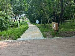 -吉林大学(前卫南区)