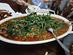 -泡桐树孙二娘私房菜