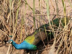 -重庆动物园·东二门售票处