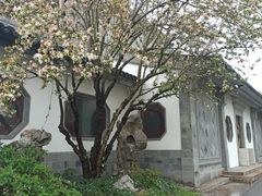 -京陵鸭血粉丝汤(景德路店)