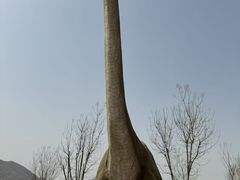 -西部长青自然儿童乐园