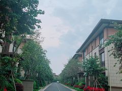 -美的鹭湖森林度假区